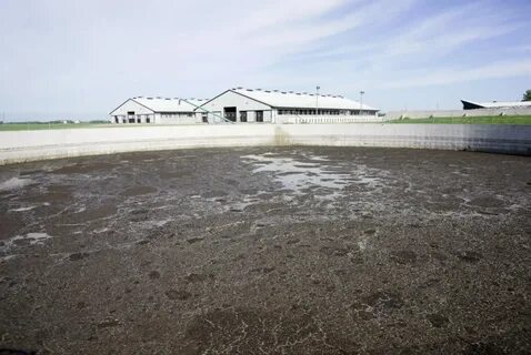 Farm manure