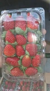 Египетская клубника