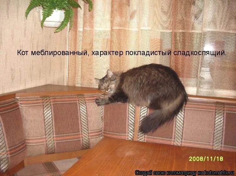 Слово покладистый. Хотите сохранить нервы в порядке будьте покладистей кладите на всё. Маша и медведь приколы. Фразы про сфинкса кота. Пассивно-агрессивный тип личности.