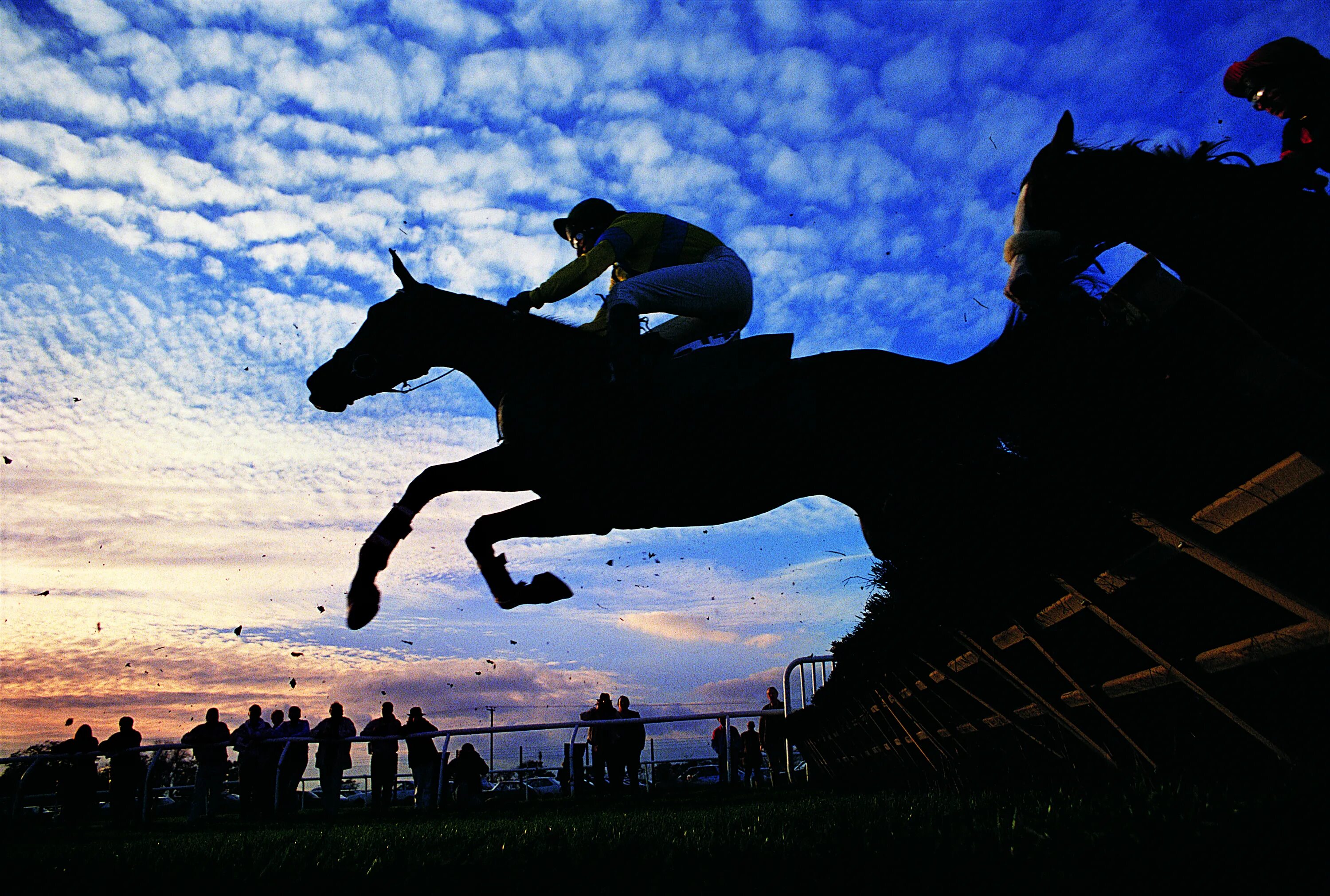 Ночные скачки. Чтение на ночь. Конь ночью. Конь ночью. Девушка на коне.