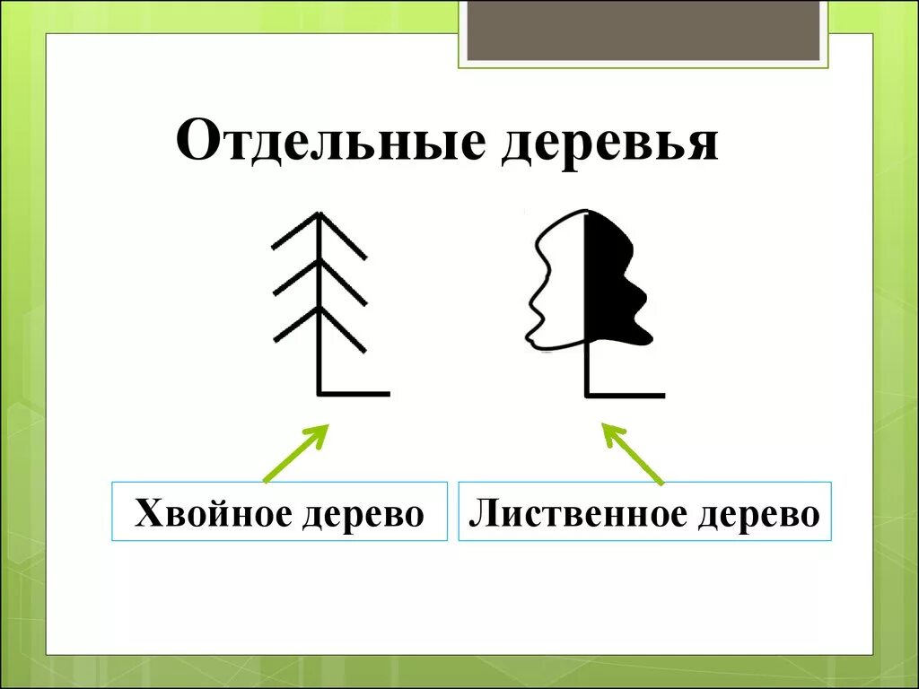 Обозначение деревьев на карте. Обозначение хвойных деревьев на карте. хвойный отдельно стоящие деревья условные знаки. условные обозначения отдельно стоящее дерево.