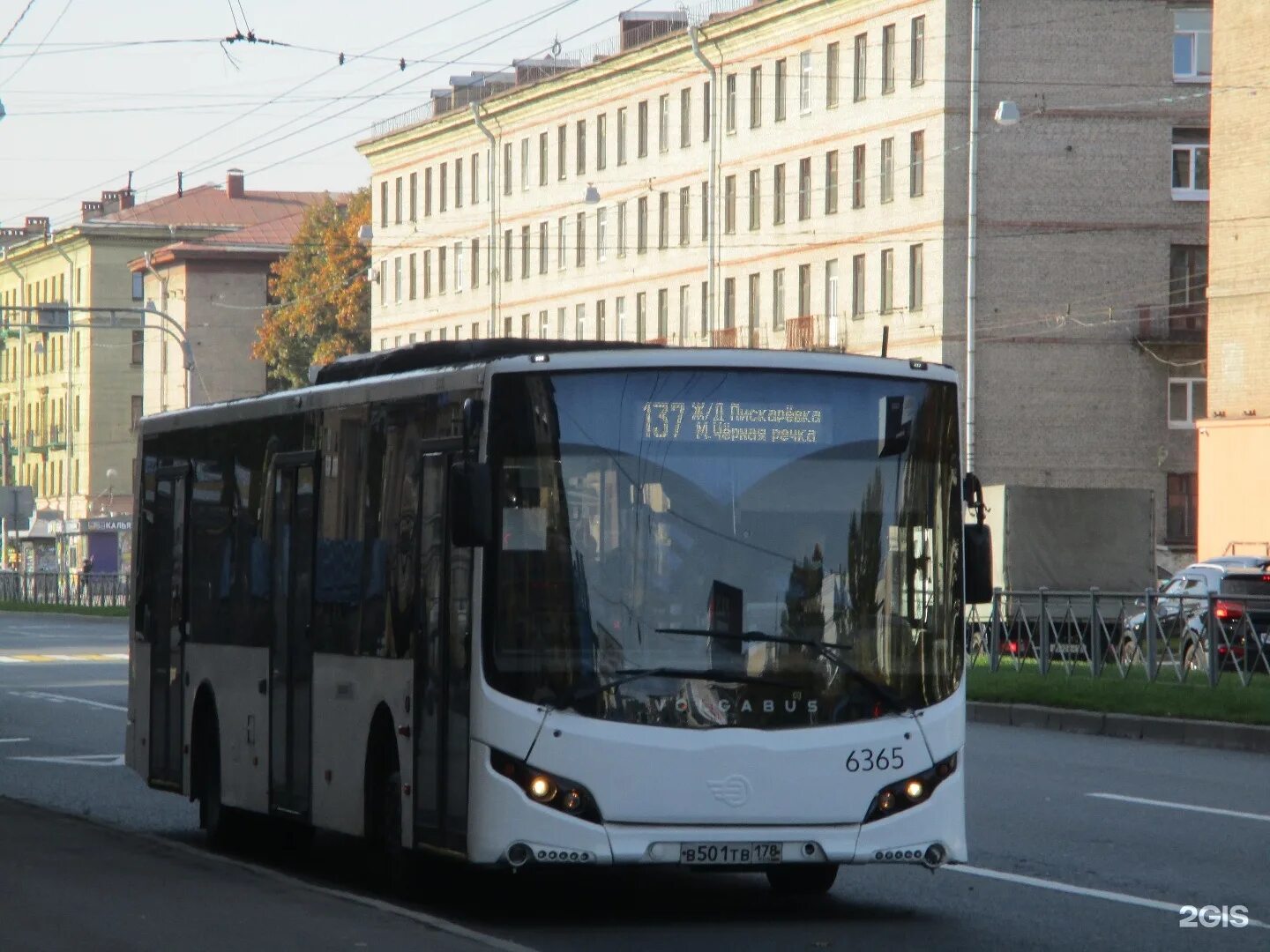 Автобусы спб отзывы. VOLGABUS 5270. Автобус Волгабас 5270. VOLGABUS-5270.05. СПБ автобус Волгабас 5270.