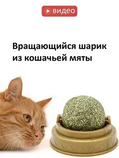 Кошачье лакомство с мятой