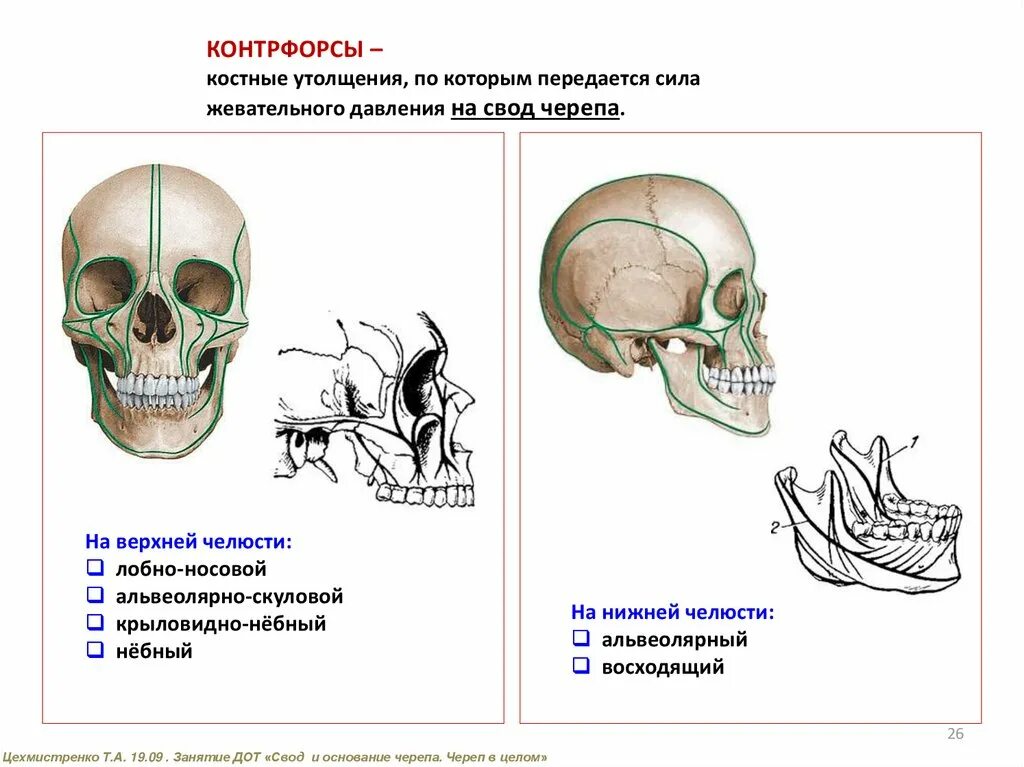 Граница свода и основания