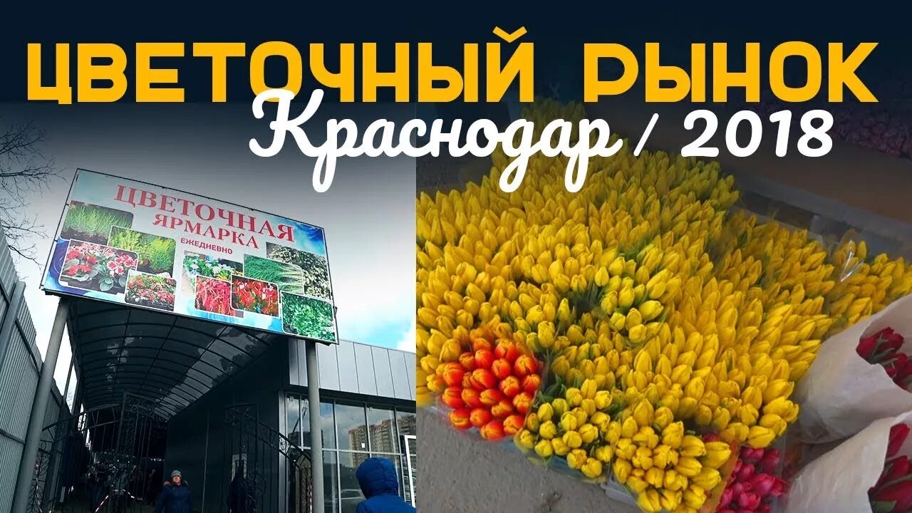 Новый цветочный рынок. Рынок цветов в Краснодаре. Краснодарский цветочный оптовый рынок. Цветочный рынок в Краснодаре оптовый. Оптавое Цвиточни ринок в краснадаре.