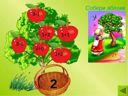 Яблоня и капуста