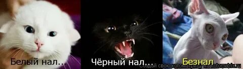 Тут разные