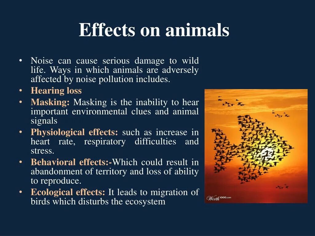 Noise pollution. Causes and effects of noise pollution. noise pollution solutions. the cause and effect of pollution. noise pollution topic.