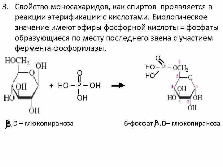 Реакция этерификации пировиноградной кислоты с фосфорной кислотой. Этерификация фосфорной кислоты. Взаимодействие моноз с кислотами. Химические свойства моносахаридов образование сложных эфиров.