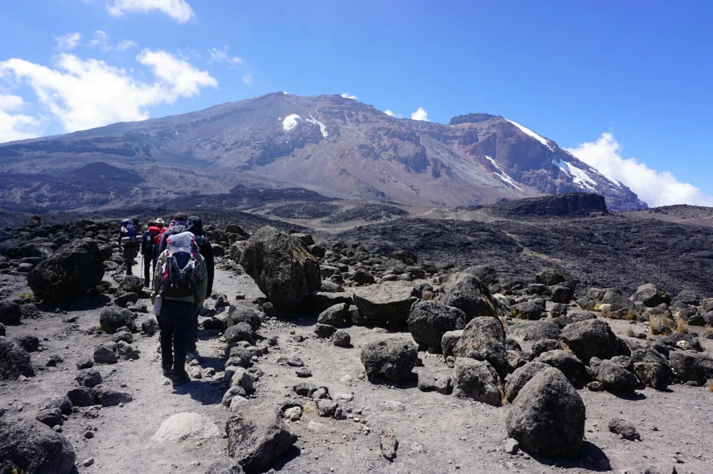 Килиманджаро температура на вершине горы. Килиманджаро machame. плато шира килиманджаро. marangu gate kilimanjaro. килиманджаро восхождение.