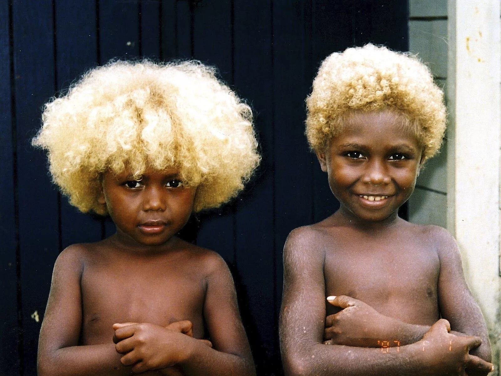 Мулаты население. Меланезийцы с Соломоновых островов. Австралоиды раса. Австралоиды океанийская раса. Меланезийская раса австралоидная.