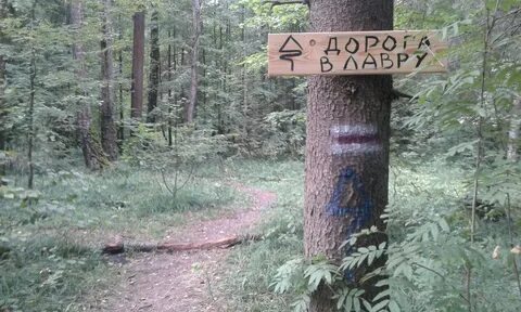 Тропа дорога жизни