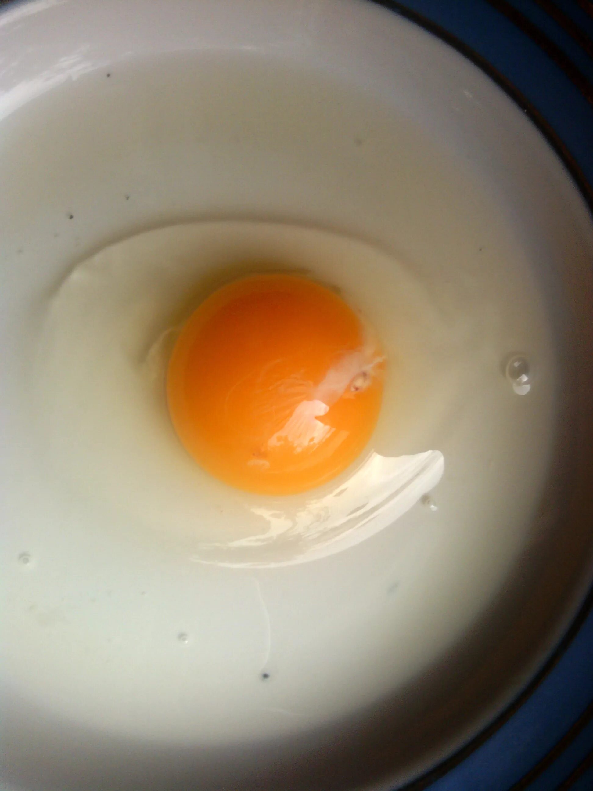 Яйцо зараженное сальмонеллой. Сырое яйцо. Яйцо куриное. К чему снятся сырые яйца разбивать