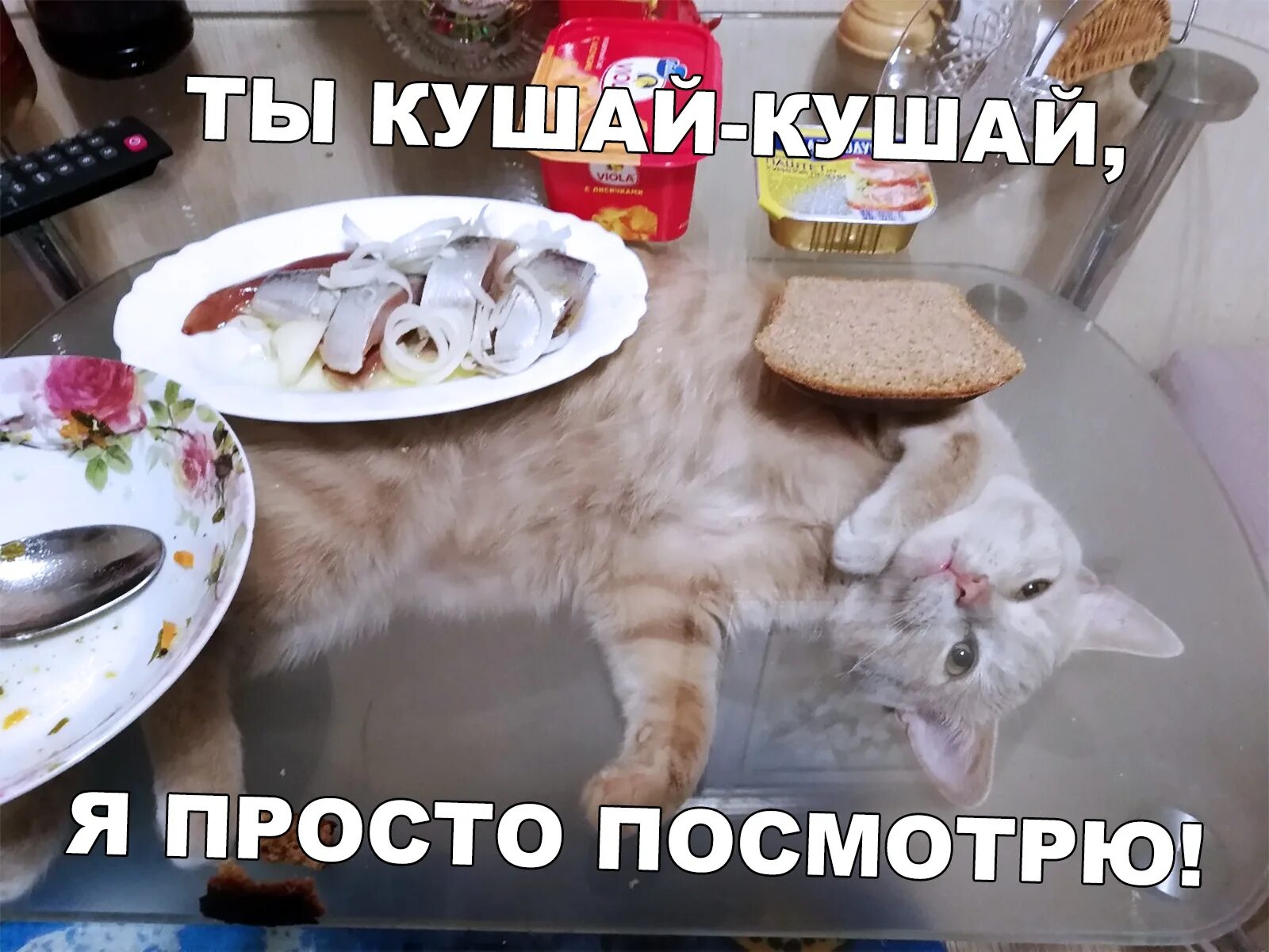 Кот завтракает Мем. Коты мемы кушать. Кот кушает Мем. Кушать приколы.