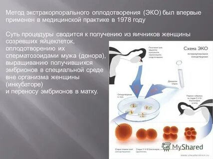 Значение искусственного оплодотворения