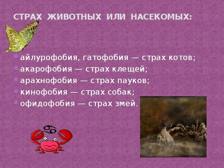 Как называется когда боишься насекомых. Боязнь насекомых название. страхи насекомых название. почему люди боятся насекомых.