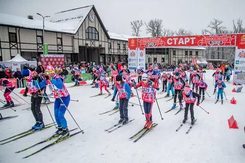 2017 год спорта