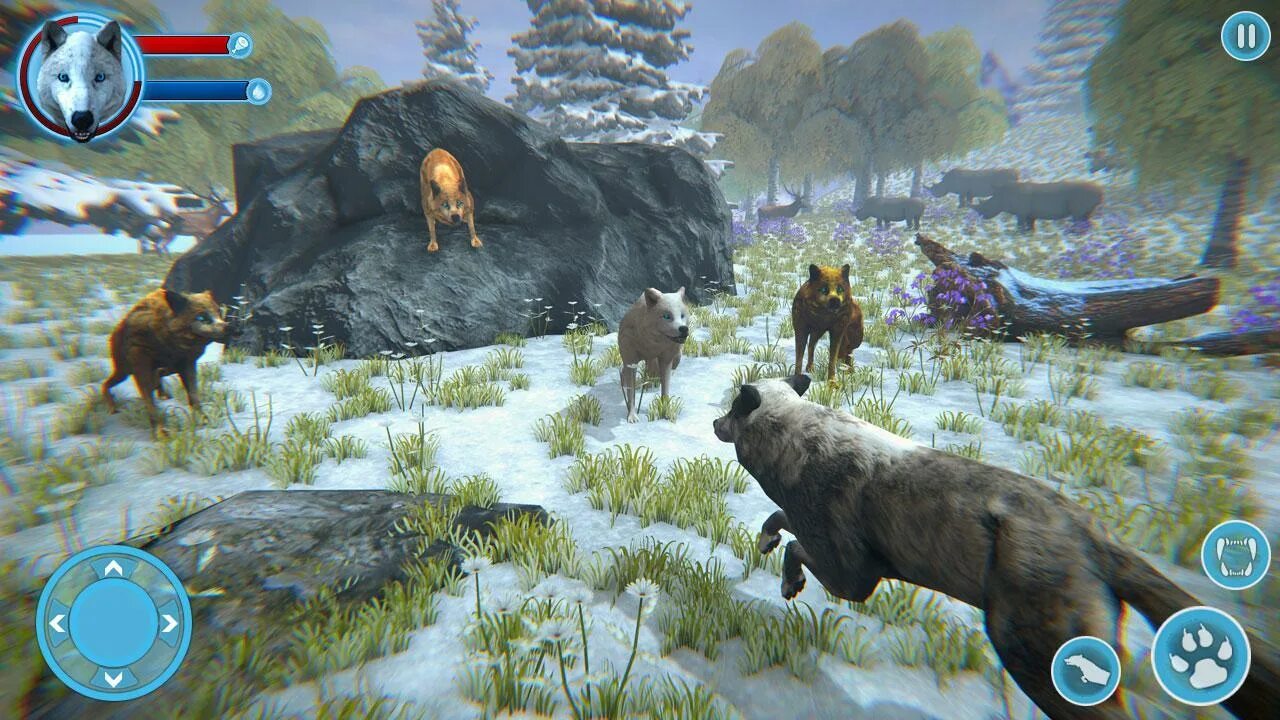 Игру называется волк. Wild wolf игра. игра волчья семья.. the wolf игра. the wolf симулятор волка.