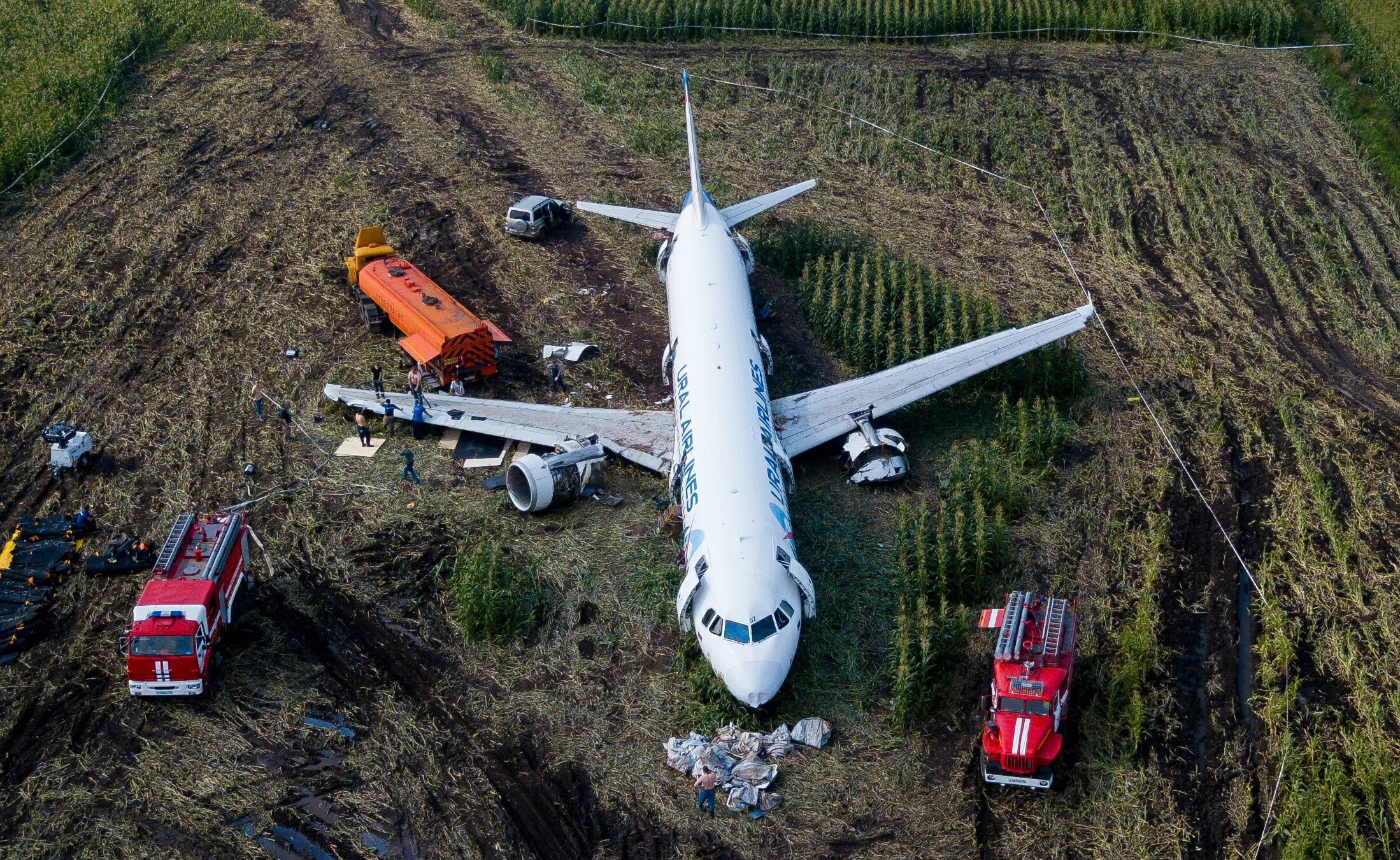 А321 Уральские авиалинии кукурузное поле. Крушение а321 Уральские авиалинии. Авиакатастрофа посадка