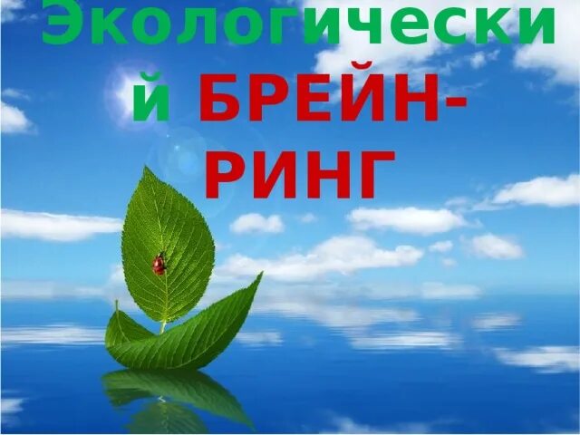 Экологический брейн ринг. Экологический Брейн - ринг «Знаток экологии». Экологический Брейн – ринг «знатоки природы» в ДОУ. Брейн ринг для 5-6 классов по экологии презентация.