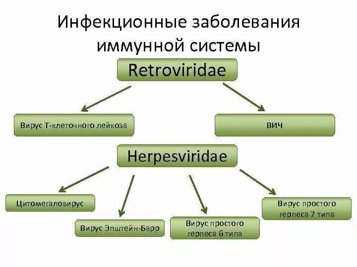 Поражения иммунной системы. Инфекции иммунной системы. Патология иммунной системы. Инфекции иммунной системы классификация. Заболевания иммунной системы человека список.