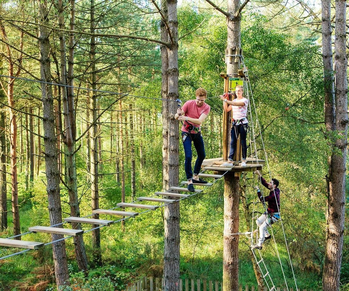 Go ape. Go ape