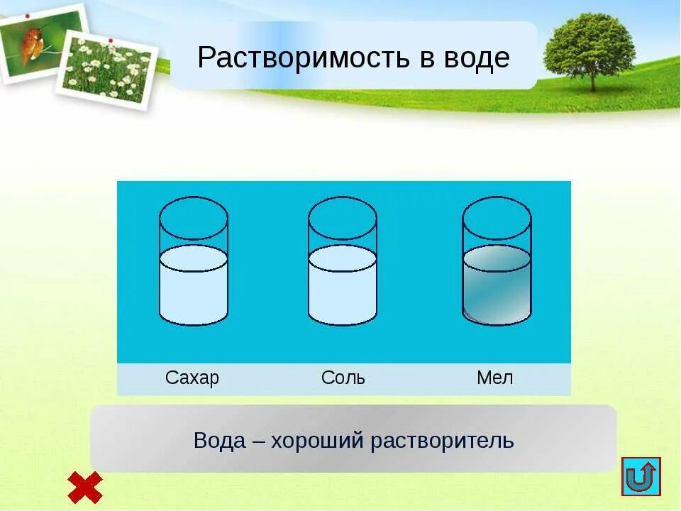 соль растворяется в воде. соль растворяется в воде. опыт растворения в воде. опыт растворения в воде. растворима ли соль в воде.
