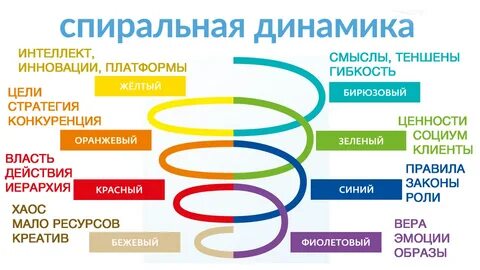 Организация динамик