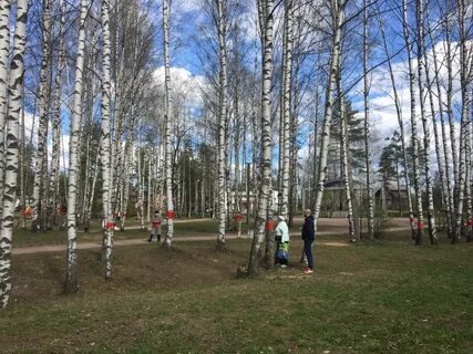 Токсовское городское поселение