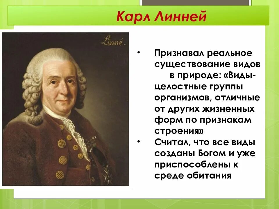 Линней считал что виды. Карл линней биология. карл линней существование вида. существование видов линней. карл линней вклад в биологию кратко.