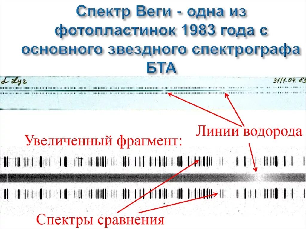 Увеличить фрагмент
