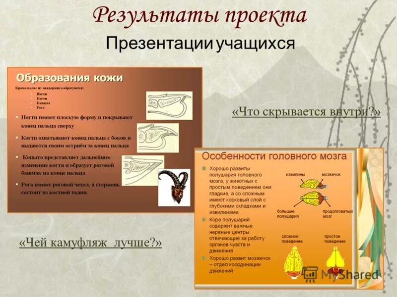 проекты учащихся презентация