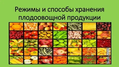 Хранить овощи сложное слово существительное