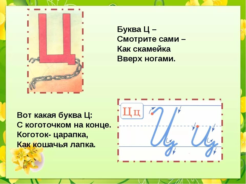 Составить ц. Буква ц. Стих про букву ц. Стишок про букву ц. Буква ц презентация.