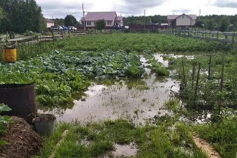 Огород на воде