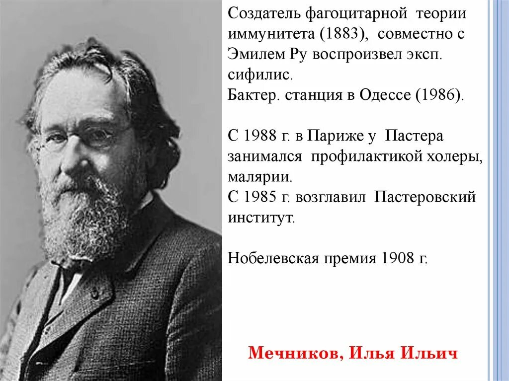 Мечников учение о клеточном иммунитете. Мечников основоположник фагоцитарной теории иммунитета. Создатель фагоцитарной теории иммунитета. Мечников создатель теории. Теория Мечникова.