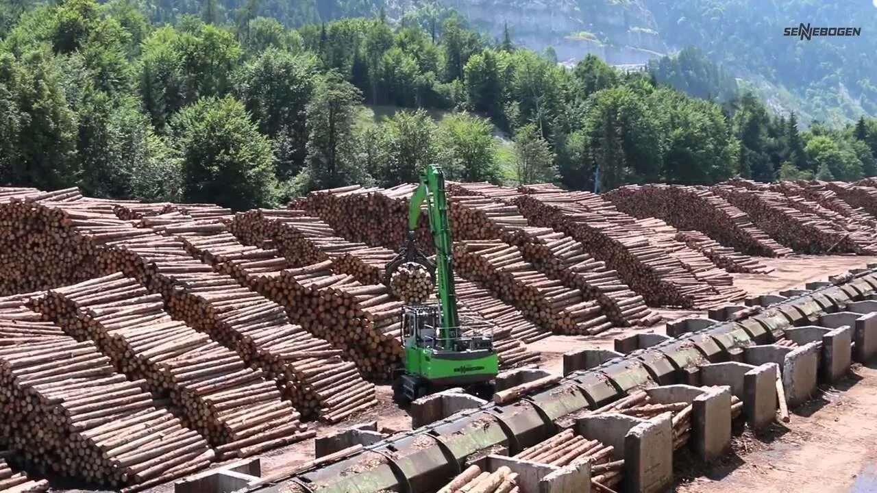 Logging trap