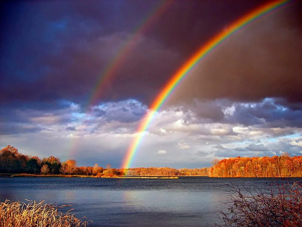 После дождя появился. Радуга над лугом. Дождь радуга доброе утро. Радуга на грозовом небе. Радуга после дождя в городе.