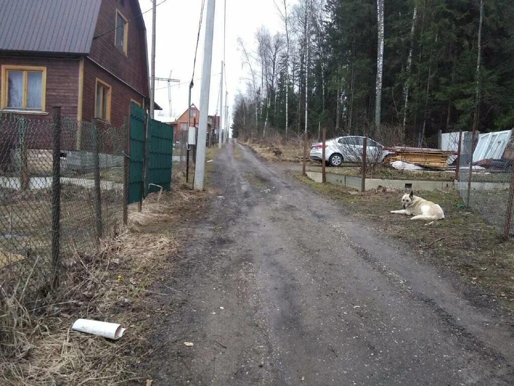 Снт автомобилист пермь. Снт автомобилист пермь. Снт автомобилист новокузнецк. Снт автомобилист иркутск. Погода снт автомобилист.