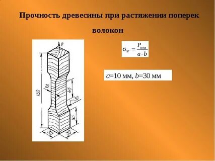 Вдоль волокон