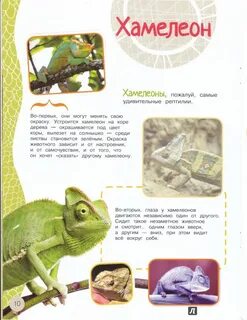 Хамелеон том 1 читать полностью