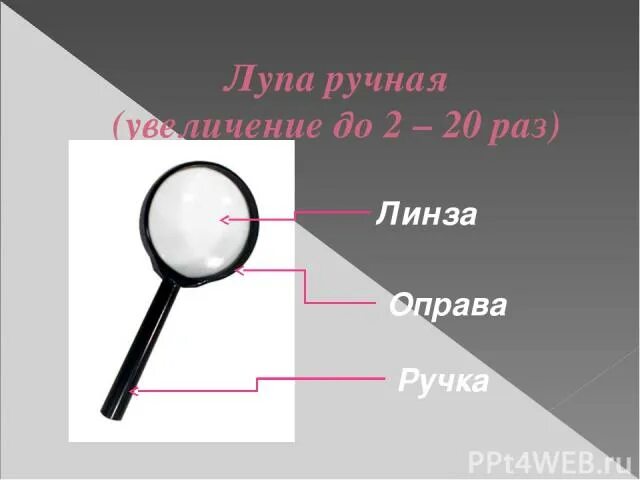 Рассмотрите с помощью лупы. Части лупы ручной. название частей лупы. строение лупы. лупа названия.
