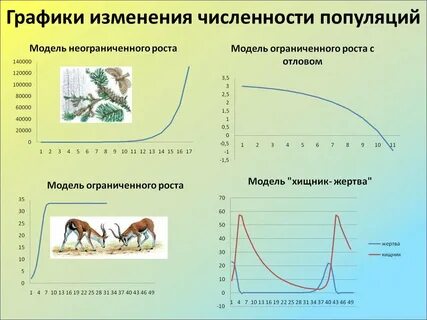 Динамика систематического изменения