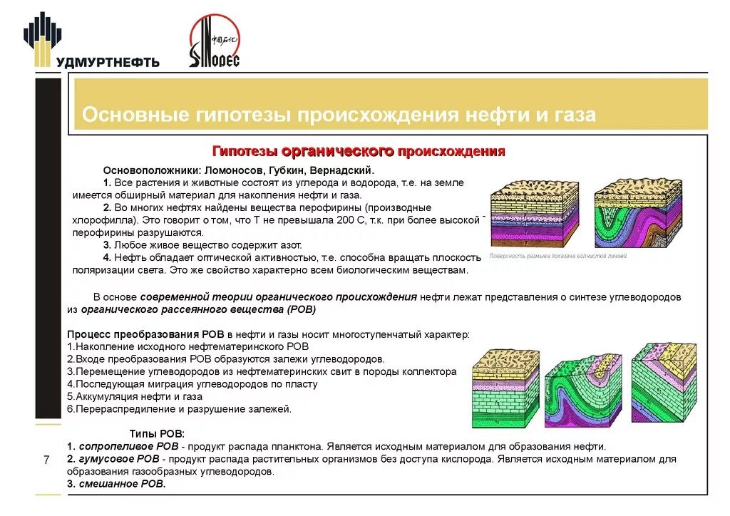 Основные гипотезы теории. Органическая гипотезы образования нефти и газа.. Органическая теория образования нефти. Основные гипотезы происхождения нефти. Схема образования нефти.