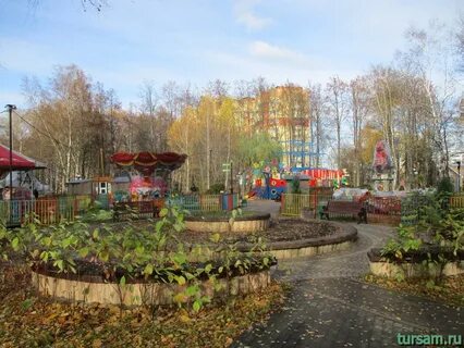 Березовая роща дмитровское