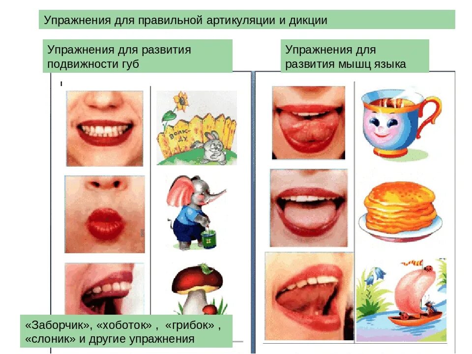 Постановка речи москва. Артикуляция упражнения для развития артикуляции. упражнения для улучшения артикуляции речи артикуляция. упражнения на губы артикуляция. артикуляционная гимнастика для дикции.