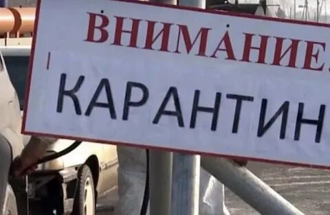 Карантин по бешенству в москве 2024