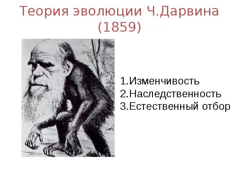 Первая теория дарвина. Теория Чарльза Дарвина. Эволюционная теория Чарльза Дарвина. Эволюционное учение Дарвина 1859. Основные принципы теории эволюции Чарльза Дарвина.