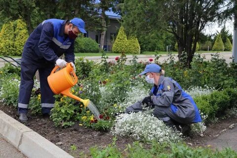 Трудоустройство на общественные работы