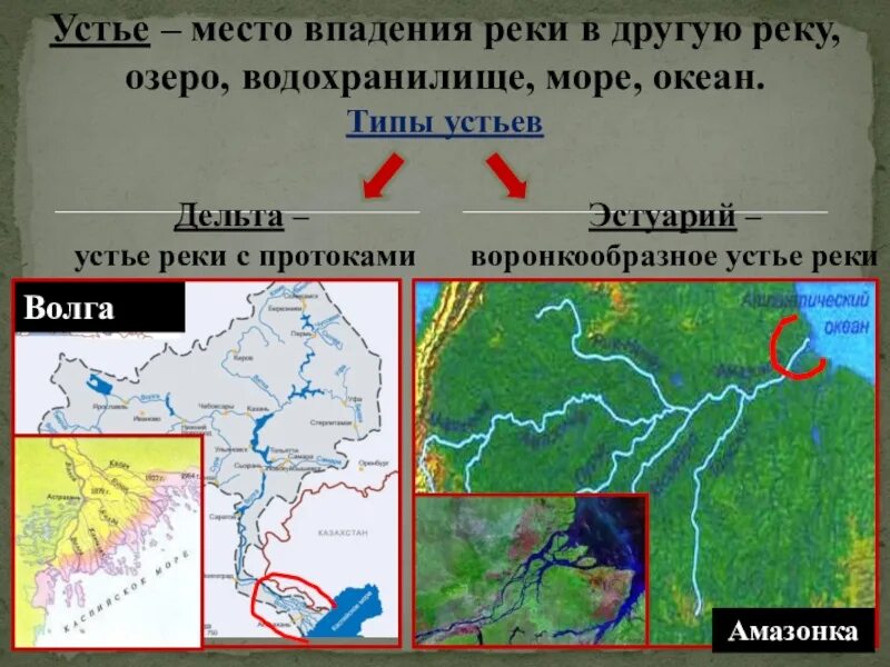 Что такое устье реки. Дельта и эстуарий реки. Типы устья рек. Устье реки Дельта. Дельта Тип устья.